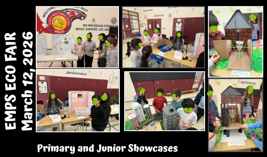 Eco Fair showcase