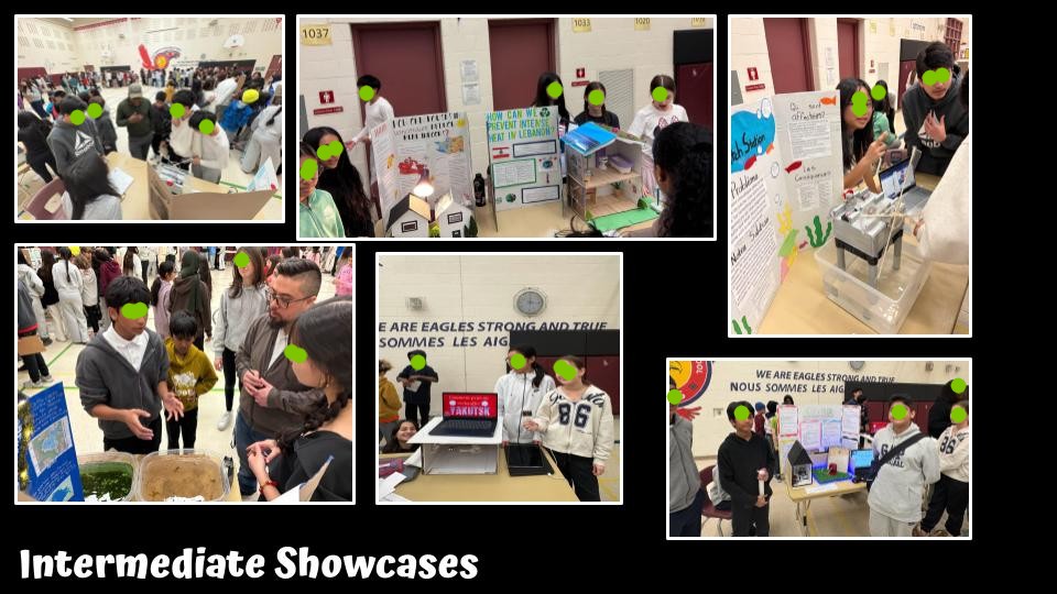 Eco Fair showcase